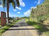 PR-155 KM 34.0 Barrio Perchas - Photo 10