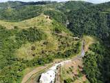 PR-155 KM 34.0 Barrio Perchas - Photo 3
