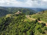 PR-155 KM 34.0 Barrio Perchas - Photo 7