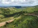 PR-155 KM 34.0 Barrio Perchas - Photo 9