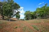 KM 2.4 INT La Rampla - Photo 11