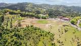 788 Bo Quemado Sector Aires Road - Photo 4