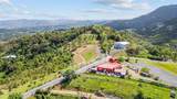 788 Bo Quemado Sector Aires Road - Photo 7