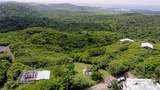 309 Calle Papo Foster - Photo 2