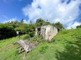 309 Calle Papo Foster - Photo 5