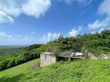 309 Calle Papo Foster - Photo 6