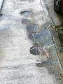 2024 Loiza Street - Photo 6