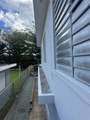 5 Calle 5 - Photo 42