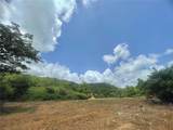  981 - Photo 4