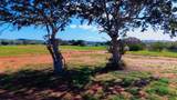 Carretera 301 Km 0.6 Combate - Photo 16