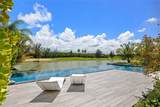 13 Salt Lane, The Isles At Dorado Beach - Photo 42