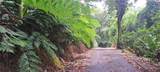  Barrio Mameyes - Photo 4