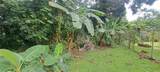  Barrio Mameyes - Photo 5