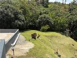 743 KM 4.3 La Vega, Guavate - Photo 29