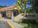 368 Camino Las Picuas - Photo 8