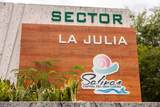 706 St Sectot La Julia - Photo 7