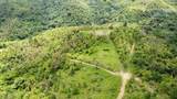 PR-172 KM 7.5 Hacienda El Remanso, Ca&ntilde;aboncito Ward - Photo 17