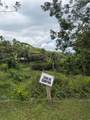 PR-172 KM 7.5 Hacienda El Remanso, Ca&ntilde;aboncito Ward - Photo 27