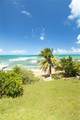 5 Beach Village - Photo 15