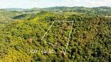 Carr 853 Bo. Cacao Lote 15 - Photo 2