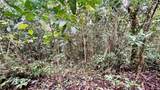 718 Bo. Pasto Road - Photo 3