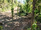 VALENCIA Ave Orquidea Urb Valencia - Photo 3