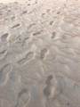 968 Road Las  Picuas - Photo 6