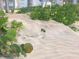 968 Road Las  Picuas - Photo 7