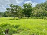 PR 155 Ramal 646 - Photo 10