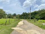 PR 155 Ramal 646 - Photo 13