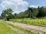 PR 155 Ramal 646 - Photo 9