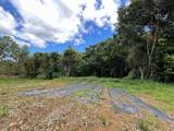 LOT 5 Km 2.5 Carretera 856 - Photo 1