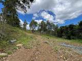 LOT 5 Km 2.5 Carretera 856 - Photo 6