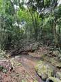 LOT 5 Km 2.5 Carretera 856 - Photo 7
