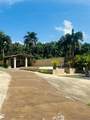 Cofresi Mameyes - Photo 12