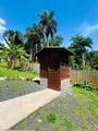 Cofresi Mameyes - Photo 20