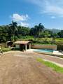 Cofresi Mameyes - Photo 23