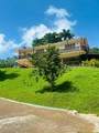 Cofresi Mameyes - Photo 8