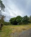  Fincas De Naranjo - Photo 4