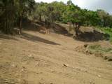B La Roca Development - Photo 3