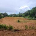 842 Caimito - Photo 10