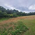 842 Caimito - Photo 11