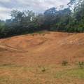 842 Caimito - Photo 2