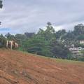 842 Caimito - Photo 4