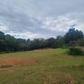 842 Caimito - Photo 5