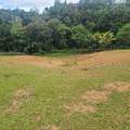 842 Caimito - Photo 6