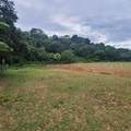 842 Caimito - Photo 8