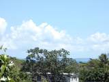 37 Calle Coral - Photo 25