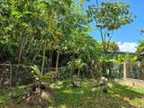 37 Calle Coral - Photo 29