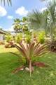 393 Monte Carmelo - Photo 35